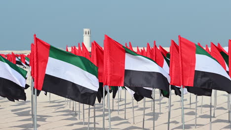 las banderas de los emiratos árabes unidos están en exhibición en el jardín de la bandera para celebrar el día de la bandera de los emiratos árabes unidos, que se encuentra en la playa pública de jumeirah en dubai, emiratos árabes unidos