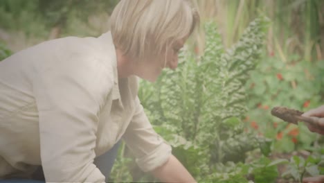 Animation-Von-Leuchtendem-Licht-über-Einer-Glücklichen-Kaukasischen-Frau,-Die-Im-Garten-Arbeitet