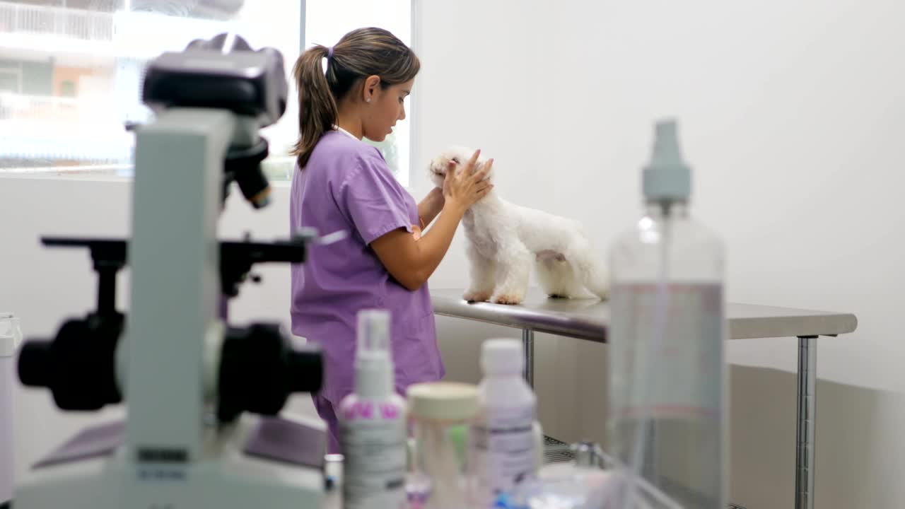 수의사와 병든 개와 함께 클리닉에 가는 수의사 방문