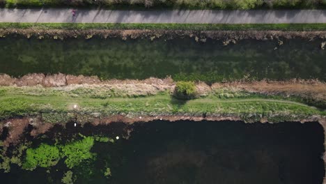 Calidad-Degradada-Del-Gran-Canal-De-Dublín-Con-Algas-Flotando