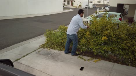 Gardner-trimming-down-the-bushes-A