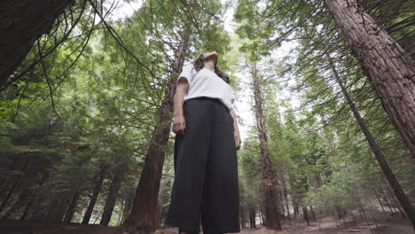poderosa reina chica española en sequoia forest españa