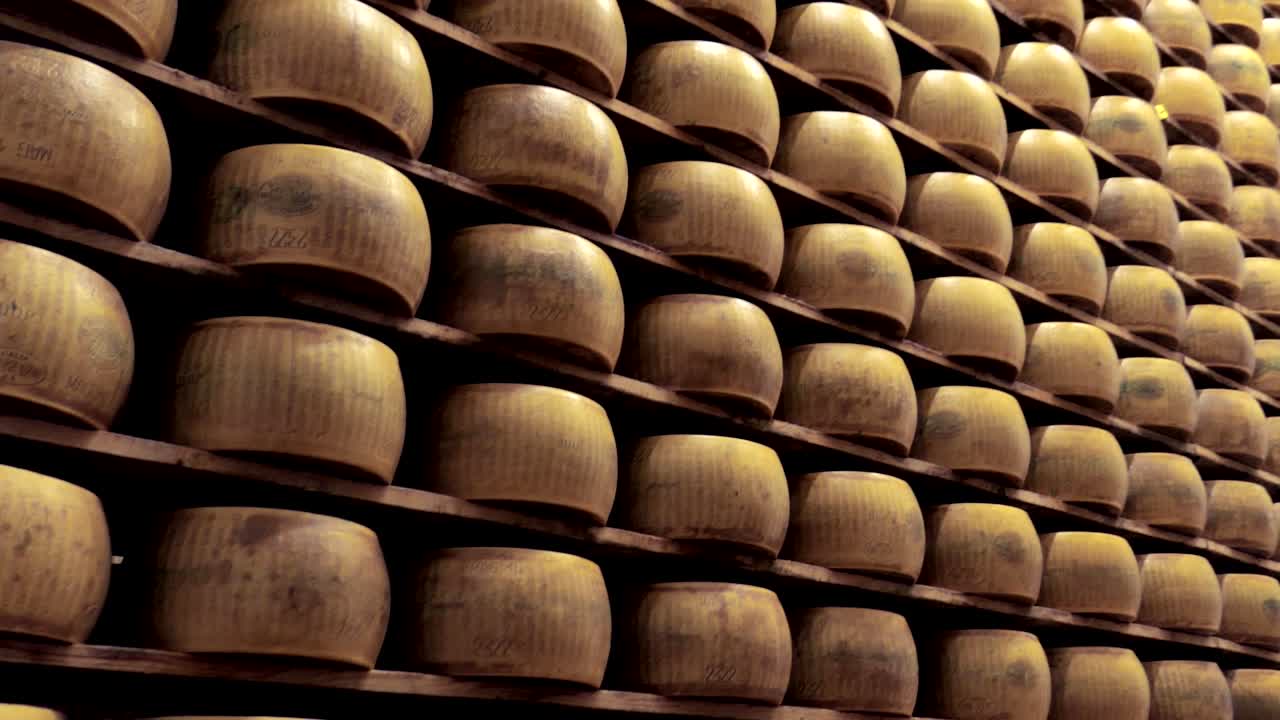 estantes llenos de maduración, queso parmesano, productores manufactura