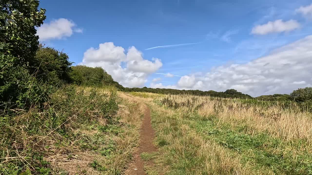Un camino de tierra a través de un campo de hierba