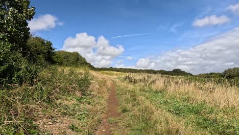 un camino de tierra a través de un campo de hierba