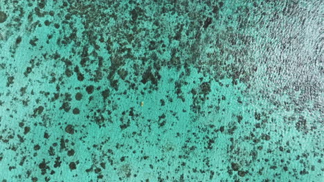 a stunning top-down drone view of a kayak floating on the clear turquoise waters near the cook islands