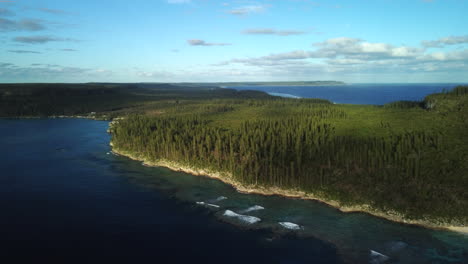 aerial: cap wabao in new caledonia, beautiful secluded beaches and trees