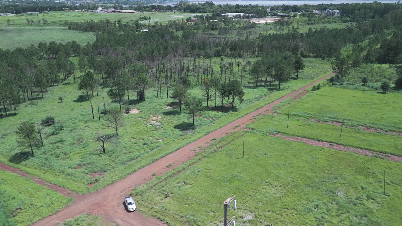 un coche en un camino de tierra roja a través de una plantación de árboles de lapacho en misiones, posadas, vista aérea