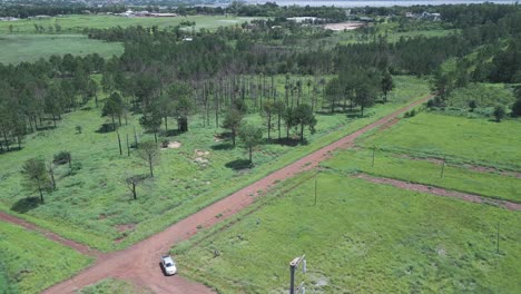 Un-Automóvil-En-Un-Camino-De-Tierra-Roja-A-Través-De-Una-Plantación-De-árboles-De-Lapacho-En-Misiones,-Posadas,-Vista-Aérea