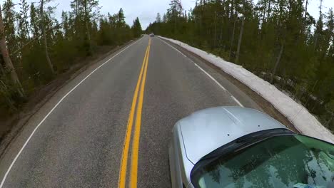 hyoerlapse of driving on a long pine and snow-covered or wooded road possibly through yellowstone national park