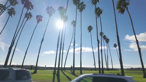gimbal wide shot from a moving vehicle of palm trees lining east beach on cabrillo blvd. in santa barbara, california. 4k at 60 fps slow motion