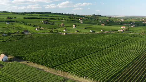 Paisaje-Verde-De-Viñedos-De-Bodega-En-Villany,-Hungría