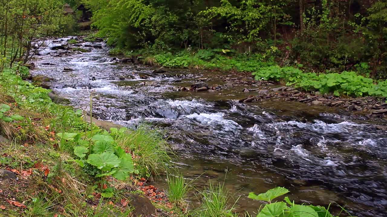 Fast mountain river flowing through forest. Fast mountain river stream