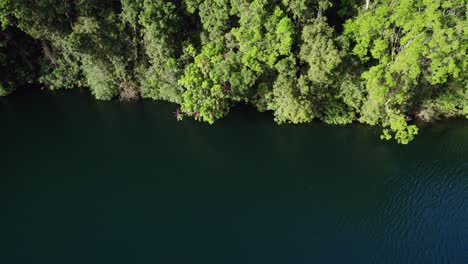 Üppiger-Regenwald-Und-Ruhiges-Wasser-Des-Lake-Eacham-In-Atherton-Tableland,-Queensland,-Australien---Antenne-Seitlich