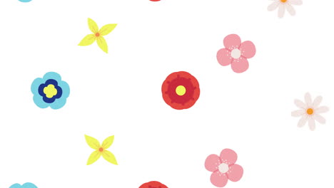 colorful flower pattern