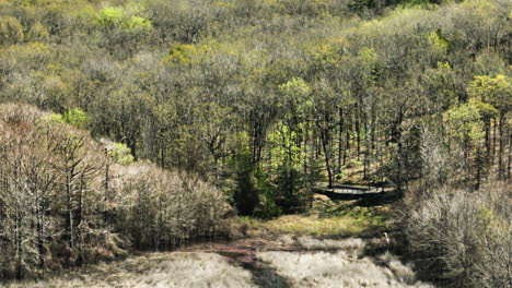 densos matorrales y turberas en el área de manejo de vida silvestre del estado de bell slough en arkansas, ee.uu.