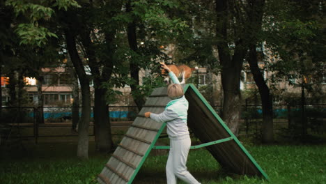 trainer helping dog climb wooden podium at outdoor park, using leash and petting it for encouragement during training session among green trees and grassy area in calm environment