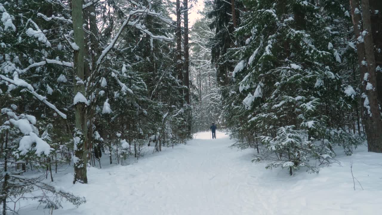 Old man skiing in the forest.