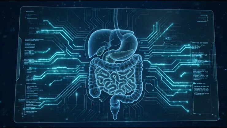 Blue glowing stomach and intestinal tract isolated on dark clinical background