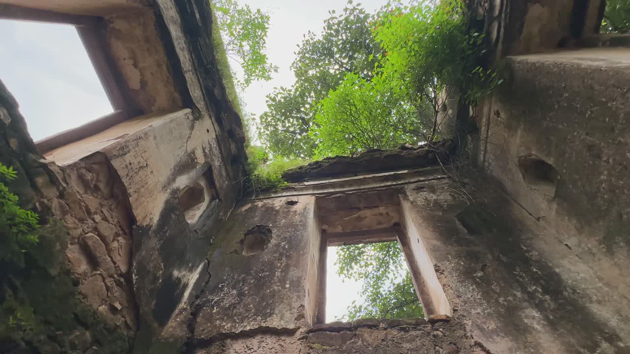Camera circles around crumbling stone ruins where nature takes over, with trees and plants thriving through broken walls, blending forgotten history with untamed wilderness