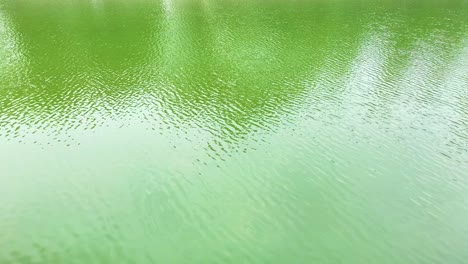 Agua-De-Lago-Verde-Como-Fondo-Con-Ondas