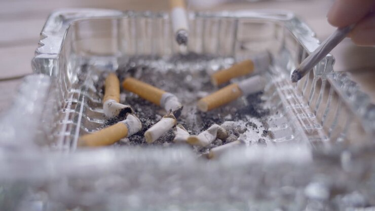 tobacco video 39,950 Stock Footage - 4K and HD Video Clips Tobacco consumption Videos - HD