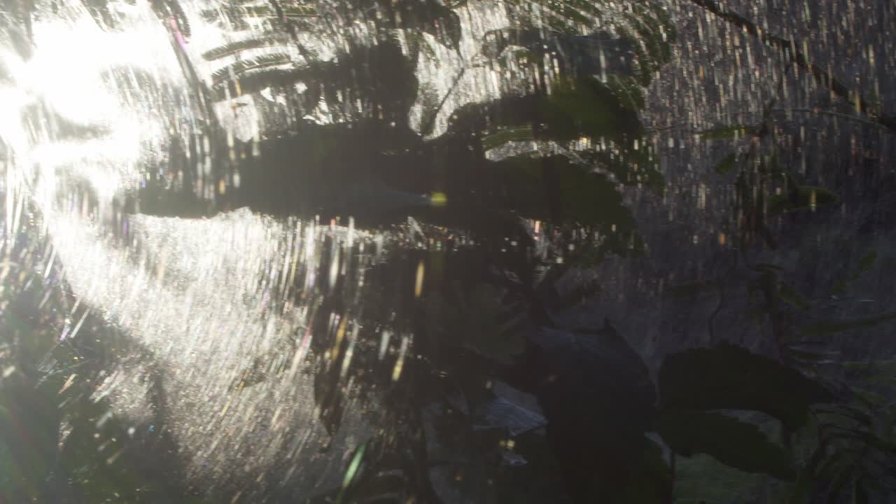 탐보파타 지역 페루 사회 거미의 두꺼운 웹을 통해 햇빛이 빛난다