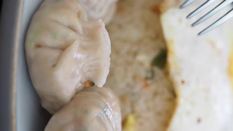 dumplings with rice and egg