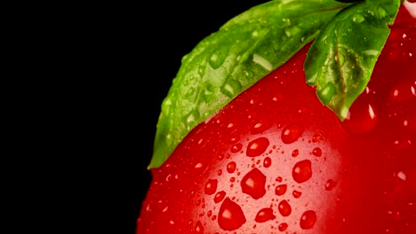 macro view of wet tomato with basil leaves.