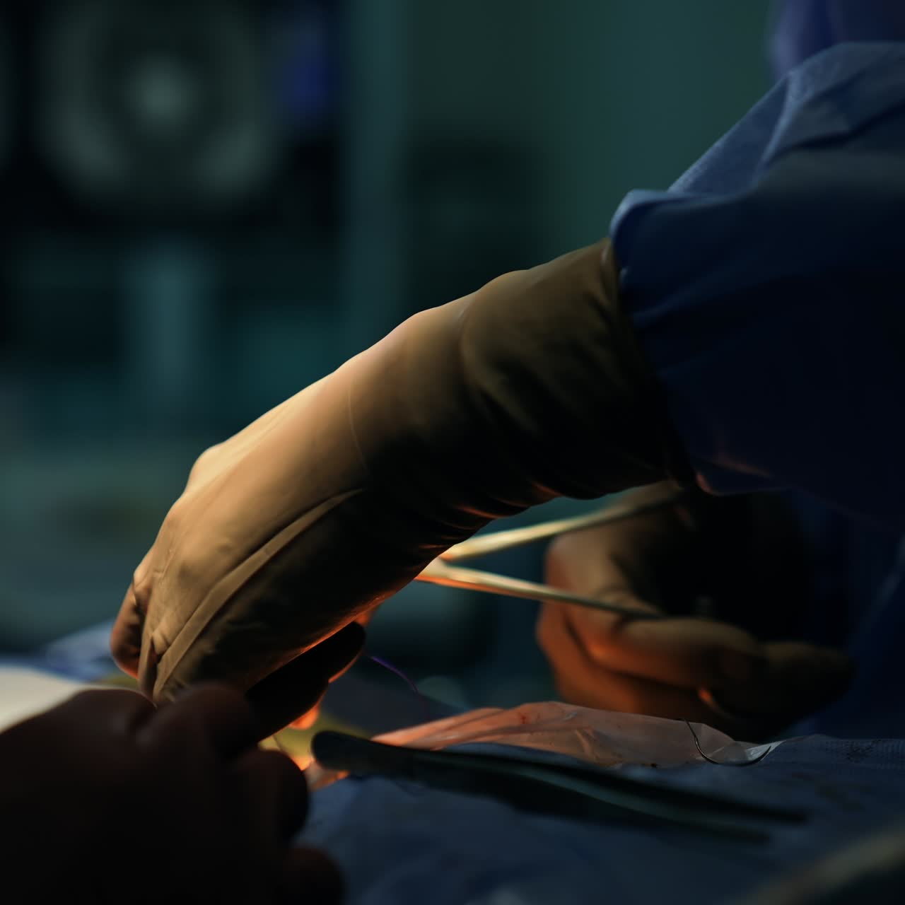 Hands in gloves making operation. Medical devices for neurosurgery close up view