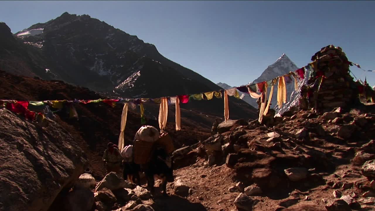 yak pasando bajo banderas de oración y chorten