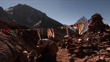 Yak-Unter-Gebetsfahnen-Und-Chorten