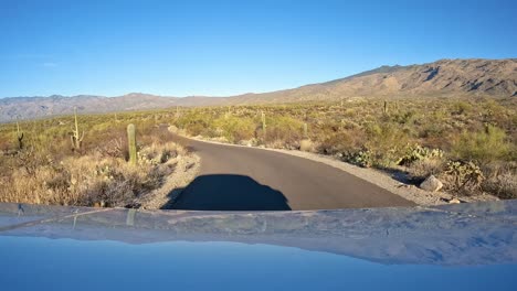 punto de vista - conduciendo a través del bosque de saguaro en el parque nacional de saguario en arizona