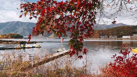 autumn foliage at a japanese lake