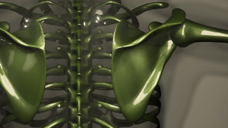 Animación-Médica-Renderizada-En-3D-De-La-Anatomía-De-Los-Huesos-Masculinos