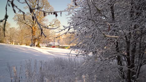 Winter-wonderland-with-branches-covered-with-white-snow-in-close-up-while-people-are-playing-in-the-background