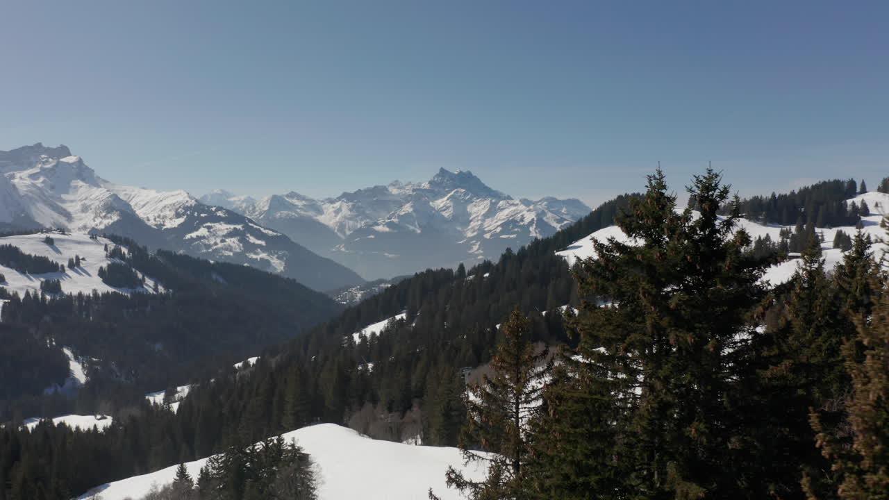 Ripresa aerea tra i pini che rivela lontani impianti di risalita in un paesaggio montano innevato