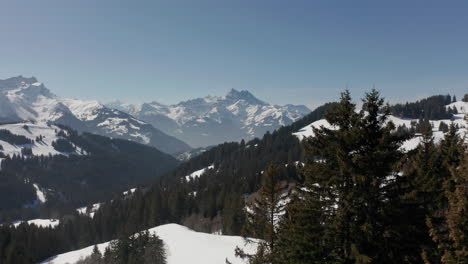 Aerial-past-pine-trees-and-revealing-distant-ski-lifts-in-snow-covered-mountainscape