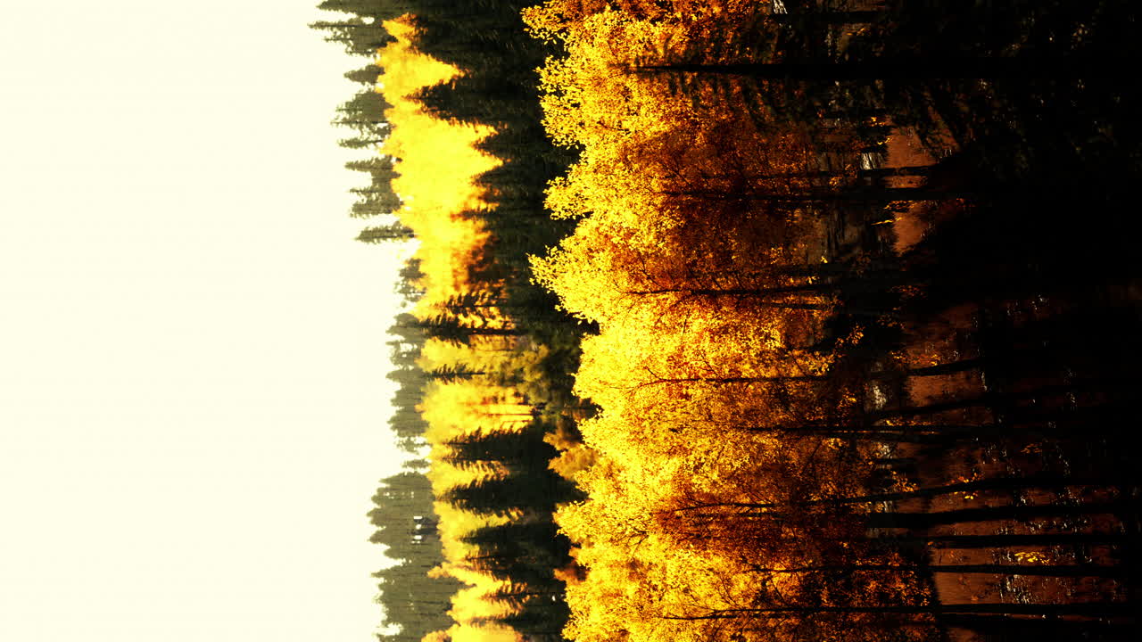 paisaje de bosque de otoño