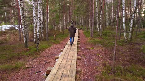 man walking on wooden pathway in dense european forest, back follow view