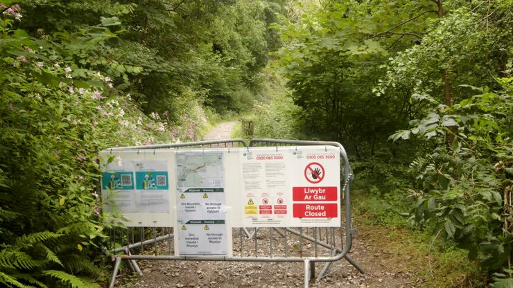 Path closed Barrier, informing people of felling infected trees with larch disease on the Rhyslyn forest road in the Afan Valley