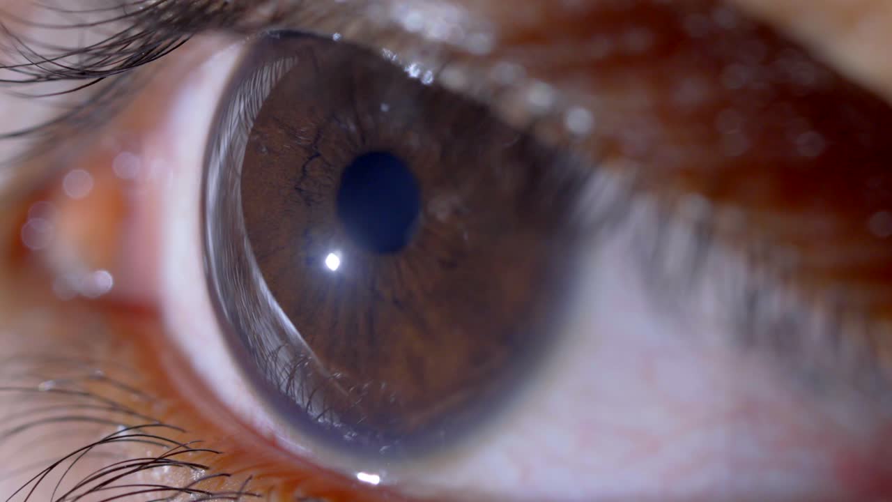 갈색 눈 극단적 인 근접