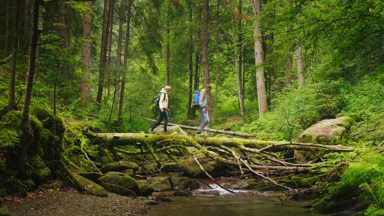두 명의 관광객이 쓰러진 나무 모험과 극한의 관광을 따라 산 강을 건너다