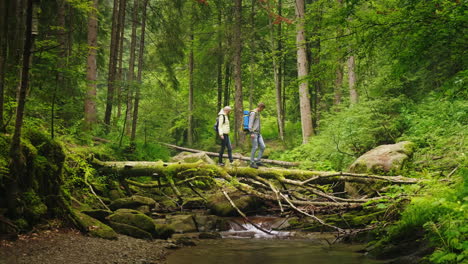 a couple of tourists cross the mountain river along a fallen tree adventures and extreme tourism ove