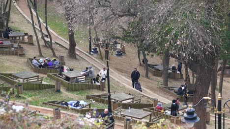 people picnicking in a city park