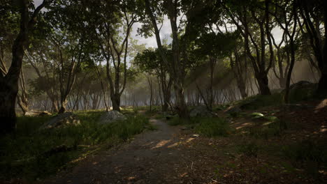 Selva-Tropical-Profunda-En-La-Oscuridad