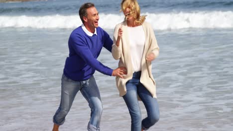 mature couple enjoying on beach