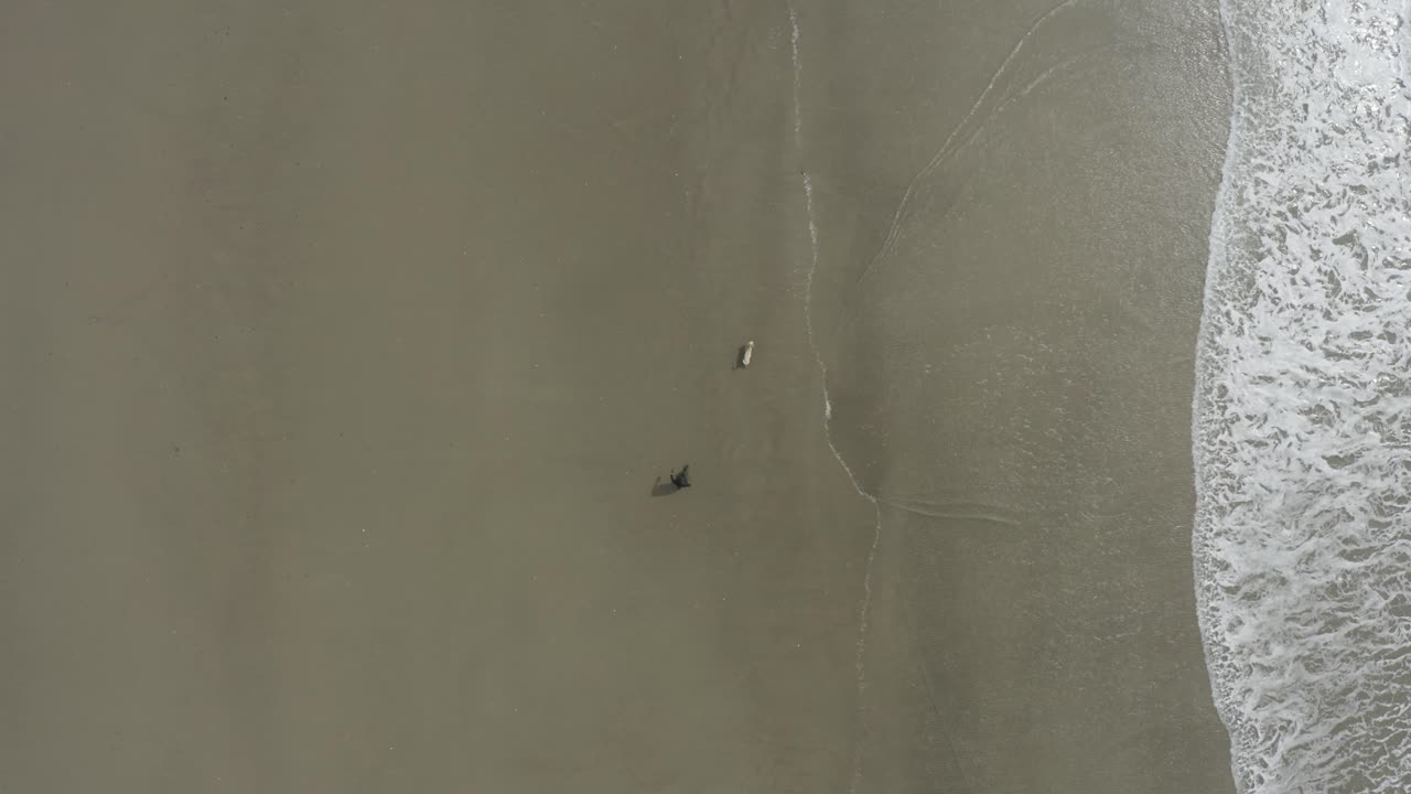 Ripresa dall'alto di una persona che cammina su una spiaggia oceanica dell'Oregon.