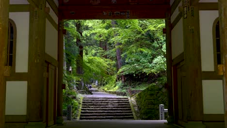 beautiful cinematic push in toward temple gate inside lush green forest