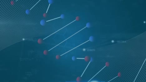 animación de la cadena de adn girando sobre conexiones y números